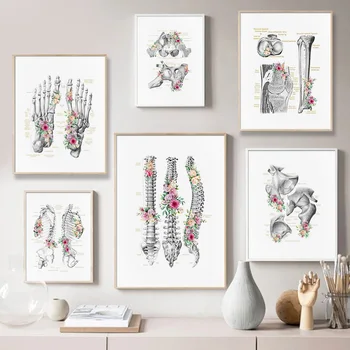 Žmogaus Anatomija Skeletas, Drobė, Tapyba Kaulų Struktūra, Švietimo, Meno, Plakato Spauda Sienos Nuotrauka Modernių Namų Ligoninės Apdaila